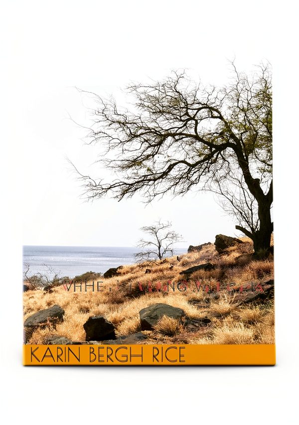 K B Rice Kindle eBook Young Adult Australian Fiction-0